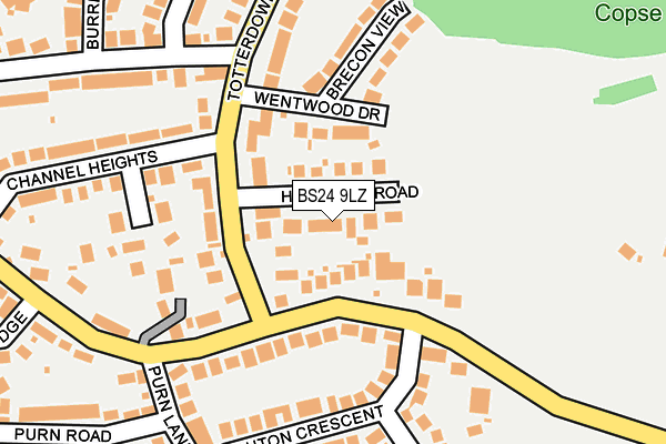 BS24 9LZ map - OS OpenMap – Local (Ordnance Survey)