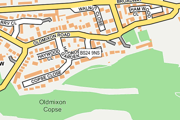 BS24 9NS map - OS OpenMap – Local (Ordnance Survey)