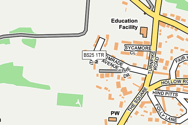 BS25 1TR map - OS OpenMap – Local (Ordnance Survey)