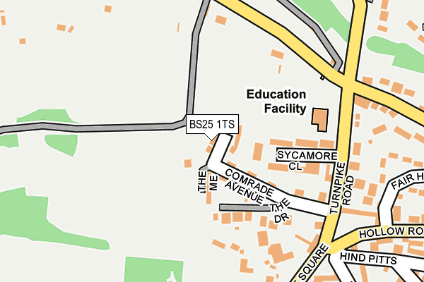 BS25 1TS map - OS OpenMap – Local (Ordnance Survey)