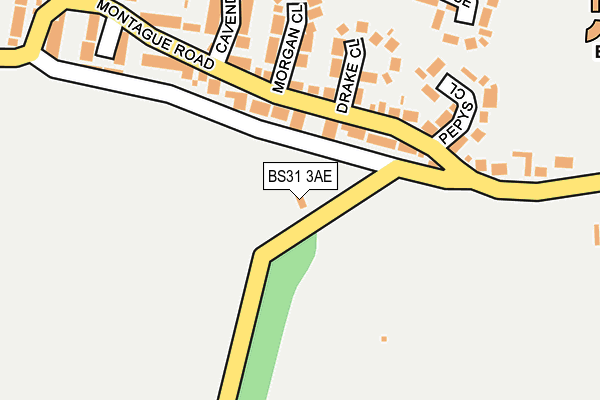 BS31 3AE map - OS OpenMap – Local (Ordnance Survey)