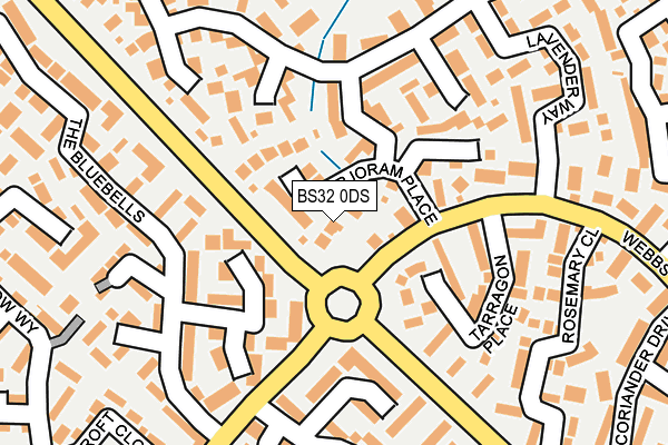 BS32 0DS map - OS OpenMap – Local (Ordnance Survey)