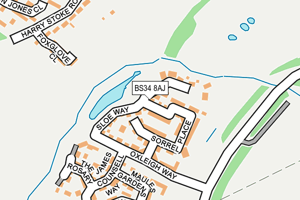 BS34 8AJ map - OS OpenMap – Local (Ordnance Survey)