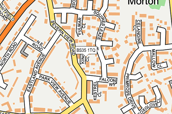 BS35 1TQ map - OS OpenMap – Local (Ordnance Survey)