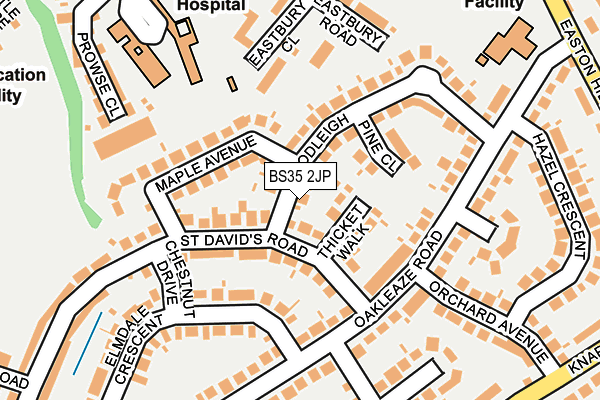 BS35 2JP map - OS OpenMap – Local (Ordnance Survey)