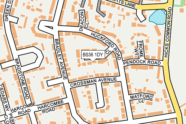 BS36 1DY map - OS OpenMap – Local (Ordnance Survey)