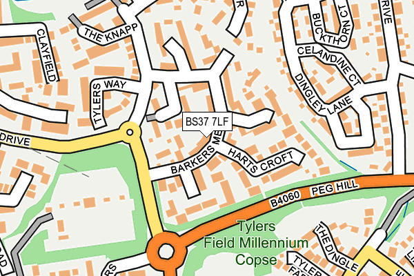 BS37 7LF map - OS OpenMap – Local (Ordnance Survey)