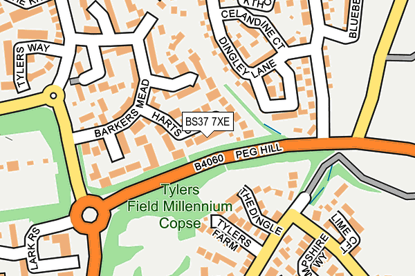 BS37 7XE map - OS OpenMap – Local (Ordnance Survey)