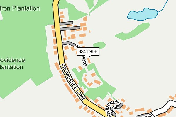 BS41 9DE map - OS OpenMap – Local (Ordnance Survey)