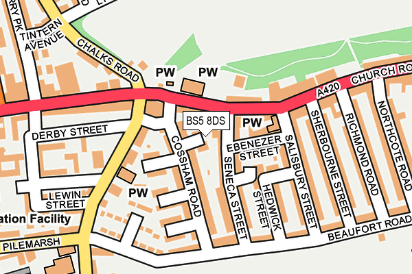 BS5 8DS map - OS OpenMap – Local (Ordnance Survey)