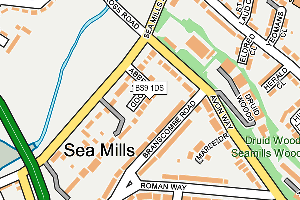 BS9 1DS map - OS OpenMap – Local (Ordnance Survey)