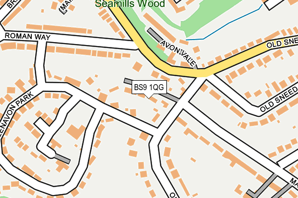 BS9 1QG map - OS OpenMap – Local (Ordnance Survey)
