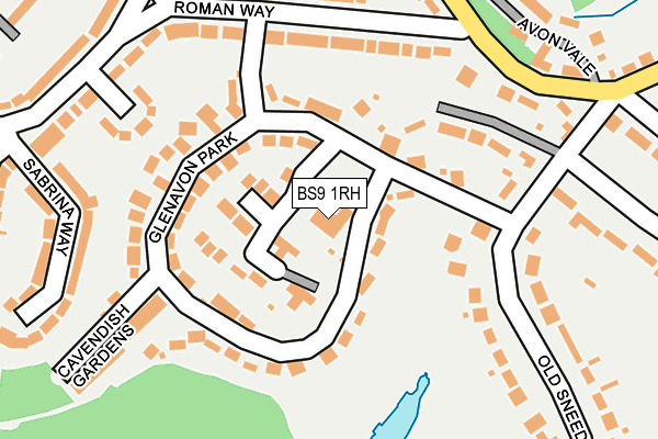 BS9 1RH map - OS OpenMap – Local (Ordnance Survey)