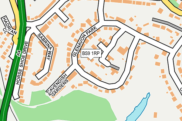 BS9 1RP map - OS OpenMap – Local (Ordnance Survey)