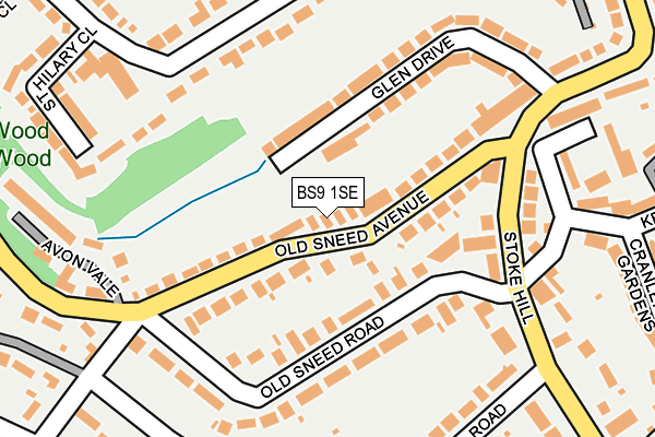 BS9 1SE map - OS OpenMap – Local (Ordnance Survey)