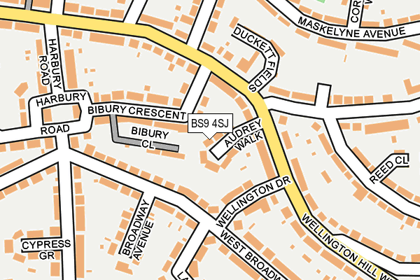 BS9 4SJ map - OS OpenMap – Local (Ordnance Survey)