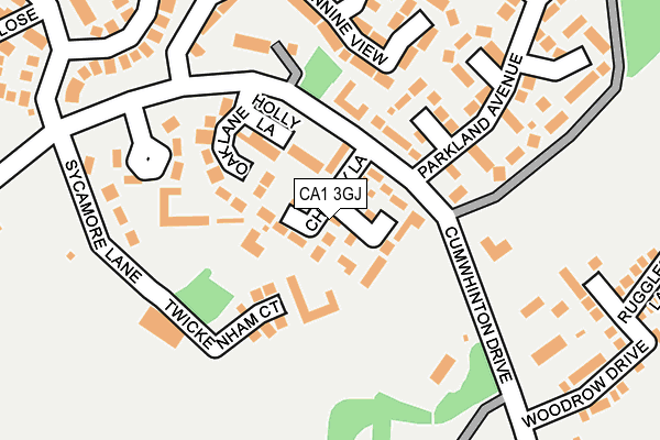 CA1 3GJ map - OS OpenMap – Local (Ordnance Survey)