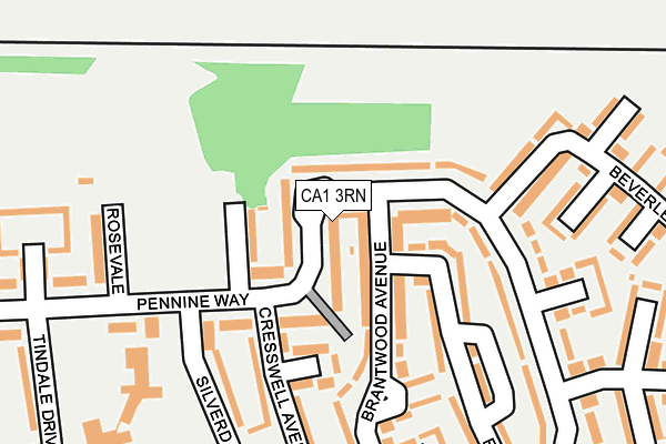 CA1 3RN map - OS OpenMap – Local (Ordnance Survey)