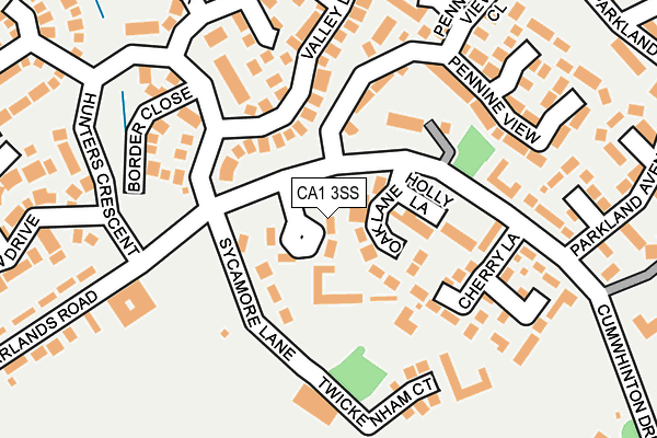 CA1 3SS map - OS OpenMap – Local (Ordnance Survey)