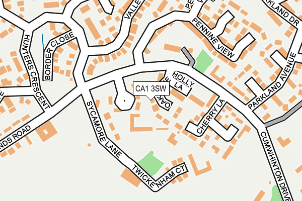 CA1 3SW map - OS OpenMap – Local (Ordnance Survey)