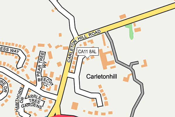 CA11 8AL map - OS OpenMap – Local (Ordnance Survey)