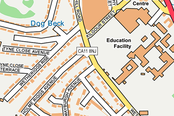 CA11 8NJ map - OS OpenMap – Local (Ordnance Survey)