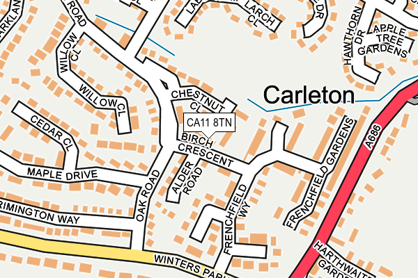 CA11 8TN map - OS OpenMap – Local (Ordnance Survey)