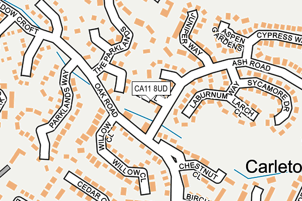 CA11 8UD map - OS OpenMap – Local (Ordnance Survey)