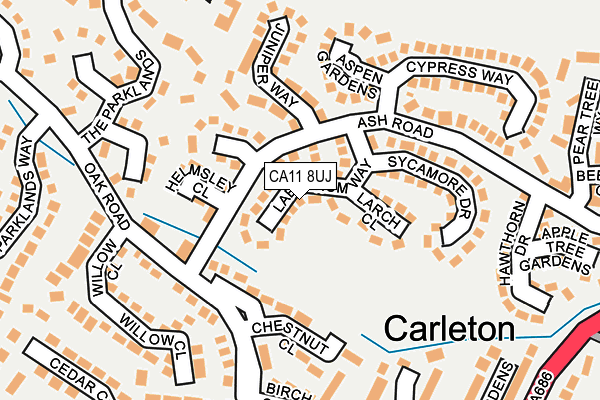 CA11 8UJ map - OS OpenMap – Local (Ordnance Survey)