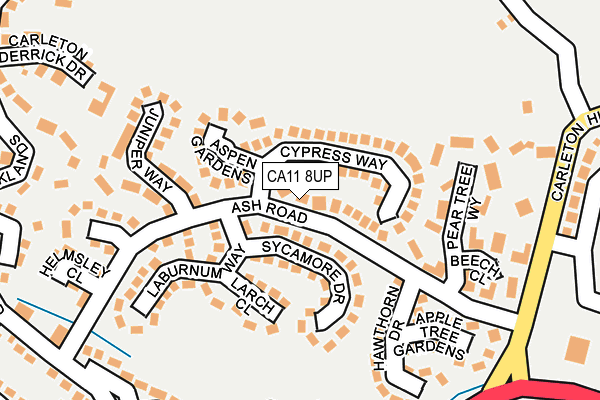 CA11 8UP map - OS OpenMap – Local (Ordnance Survey)