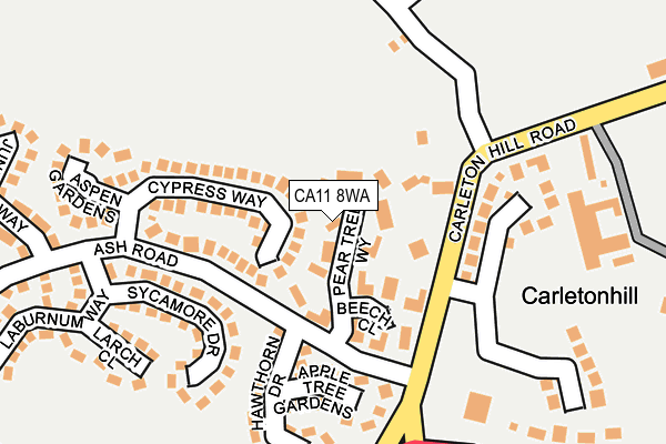 CA11 8WA map - OS OpenMap – Local (Ordnance Survey)