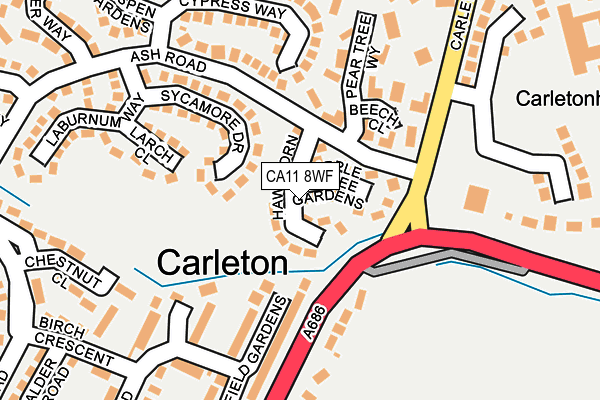 CA11 8WF map - OS OpenMap – Local (Ordnance Survey)