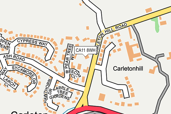 CA11 8WH map - OS OpenMap – Local (Ordnance Survey)