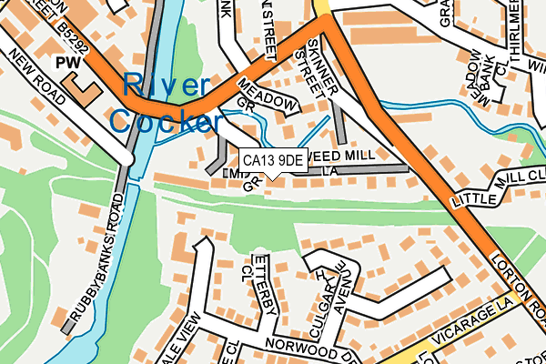 CA13 9DE map - OS OpenMap – Local (Ordnance Survey)