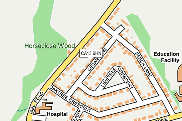 CA13 9HN map - OS OpenMap – Local (Ordnance Survey)