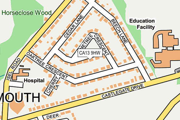 CA13 9HW map - OS OpenMap – Local (Ordnance Survey)