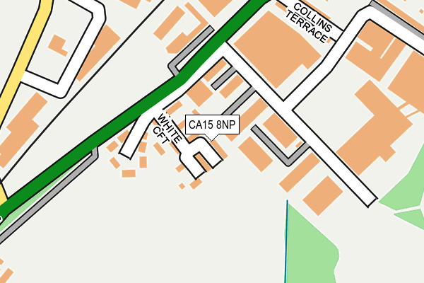 CA15 8NP map - OS OpenMap – Local (Ordnance Survey)