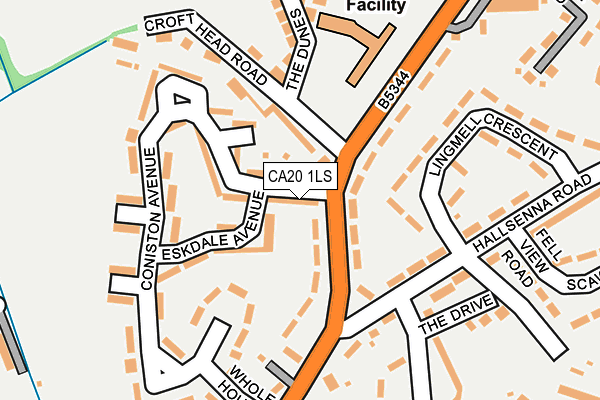 CA20 1LS map - OS OpenMap – Local (Ordnance Survey)