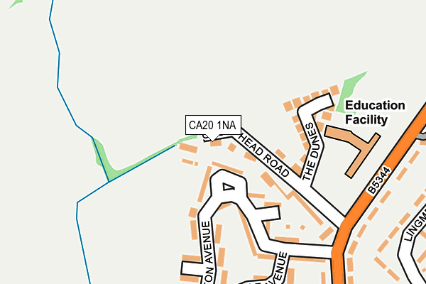 CA20 1NA map - OS OpenMap – Local (Ordnance Survey)