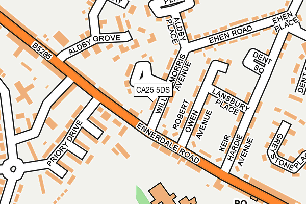 CA25 5DS map - OS OpenMap – Local (Ordnance Survey)