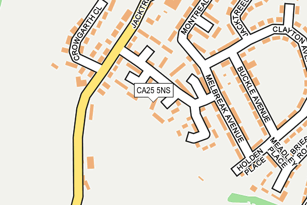 CA25 5NS map - OS OpenMap – Local (Ordnance Survey)