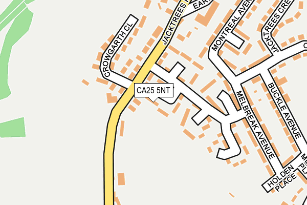 CA25 5NT map - OS OpenMap – Local (Ordnance Survey)