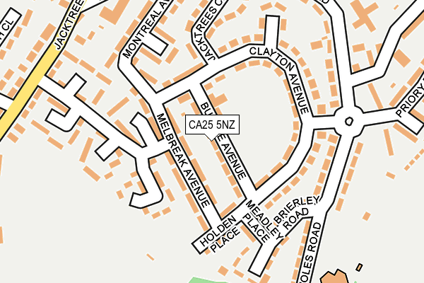 CA25 5NZ map - OS OpenMap – Local (Ordnance Survey)