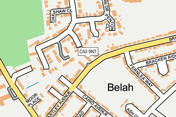 CA3 9NT map - OS OpenMap – Local (Ordnance Survey)