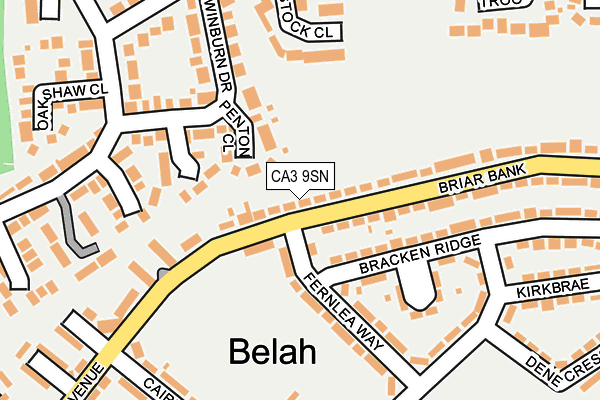 CA3 9SN map - OS OpenMap – Local (Ordnance Survey)