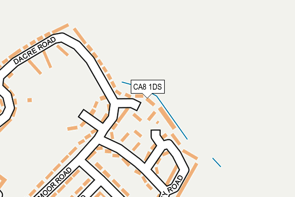 CA8 1DS map - OS OpenMap – Local (Ordnance Survey)