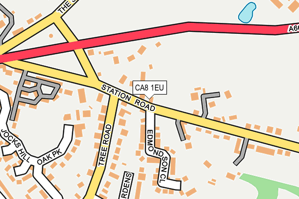 CA8 1EU map - OS OpenMap – Local (Ordnance Survey)