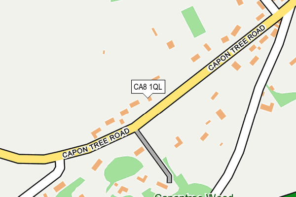 CA8 1QL map - OS OpenMap – Local (Ordnance Survey)