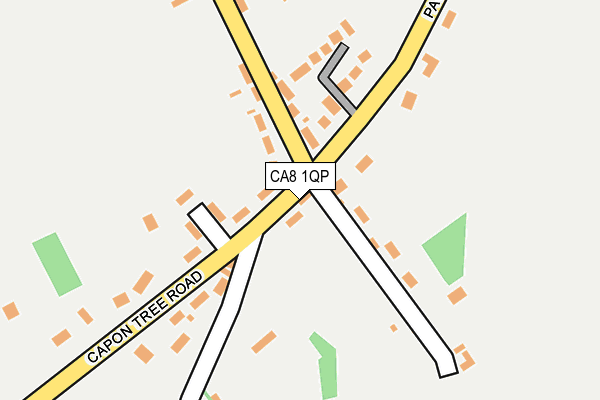 CA8 1QP map - OS OpenMap – Local (Ordnance Survey)