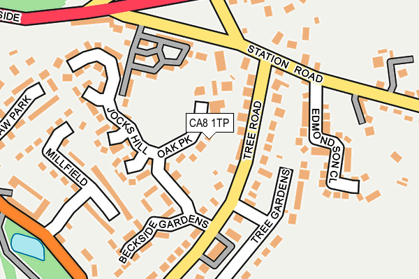 CA8 1TP map - OS OpenMap – Local (Ordnance Survey)